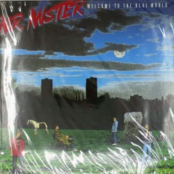 Пластинка Mr. Mister Welcome to the Real World